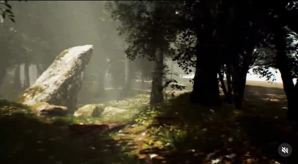 Forest Environment